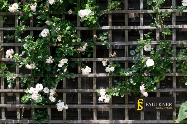 Can I put trellis on my Neighbours garage wall? 2 Do you want to adapt your neighbours garage door and add a trellis Walton-on-Thames? Talk to Faulkner Surveyor Walton-on-Thames